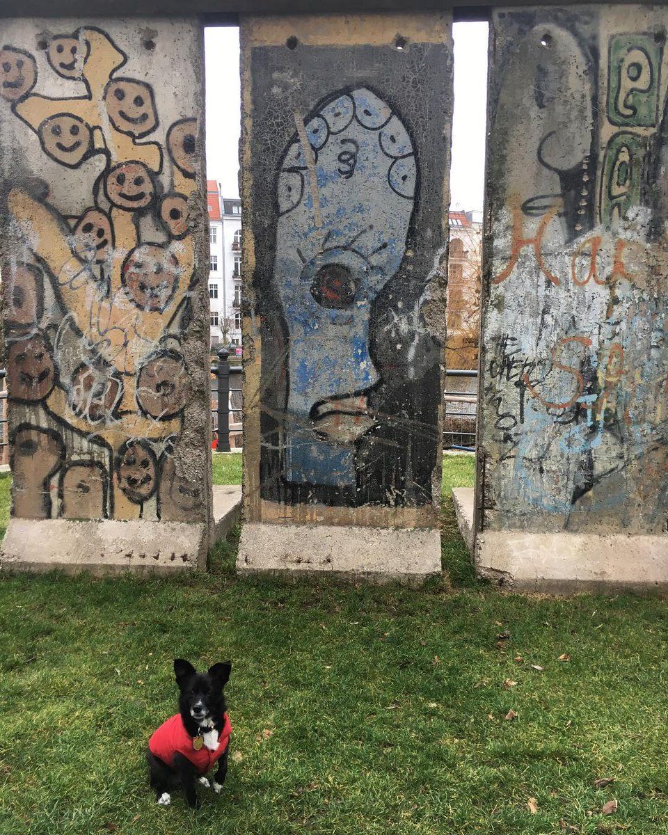 oh my god twitter doesn’t include alt text from images in their API